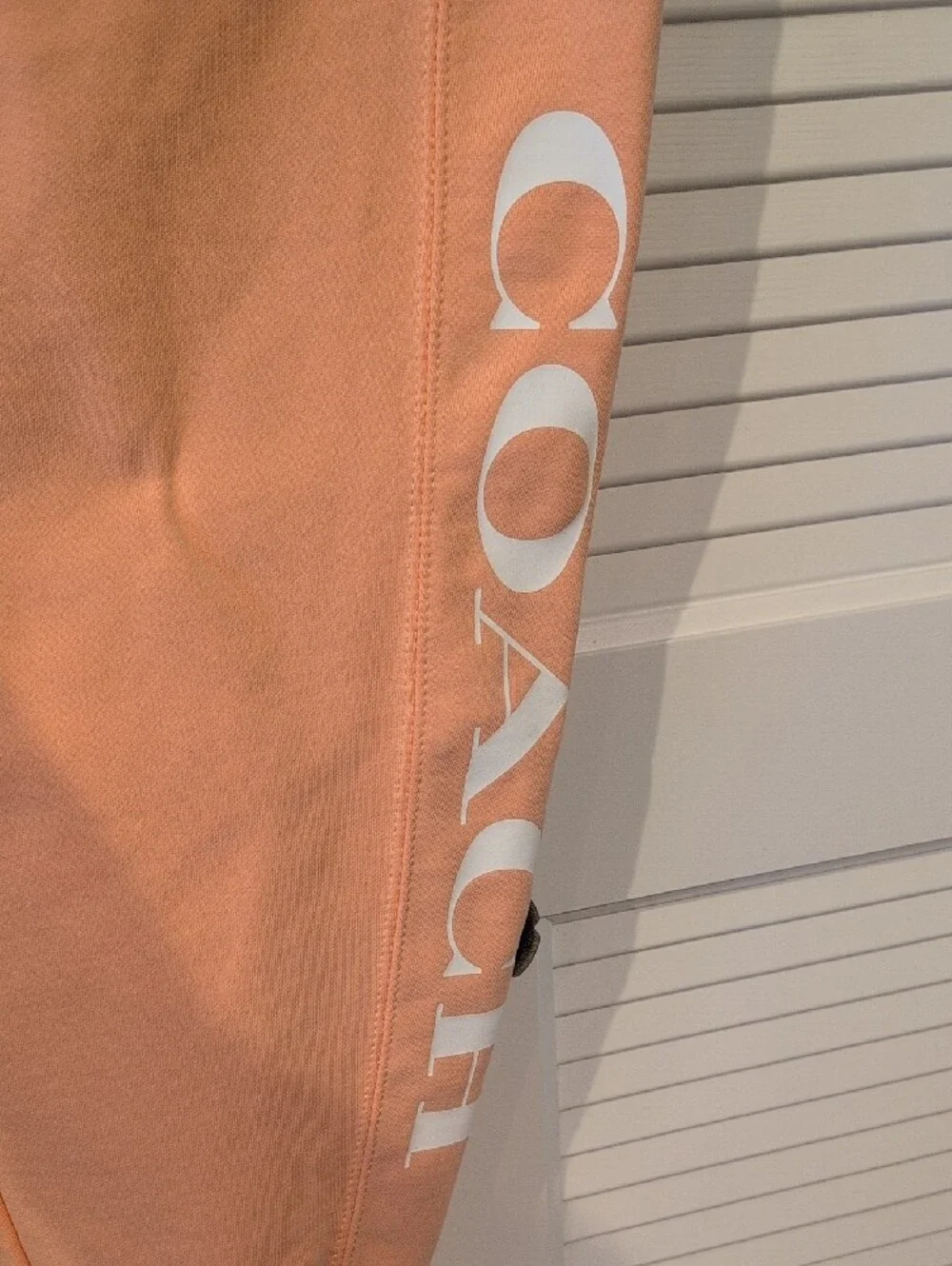 Coach joggers light
